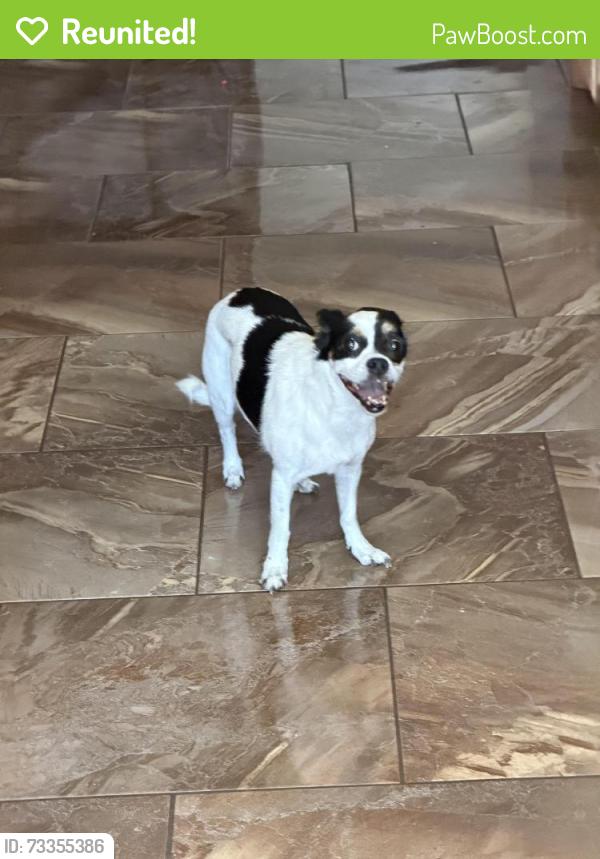 Reunited Unknown Dog last seen Washington and Royal Dr, Kaufman, TX 75142