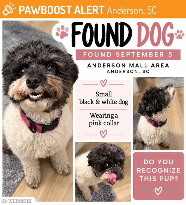 Found/Stray Unknown Dog last seen Near Anderson Mall, Anderson, SC 29621