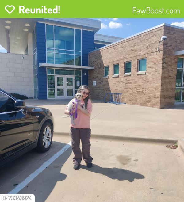 Reunited Female Dog last seen Dundee dr, Wichita Falls, TX 76302