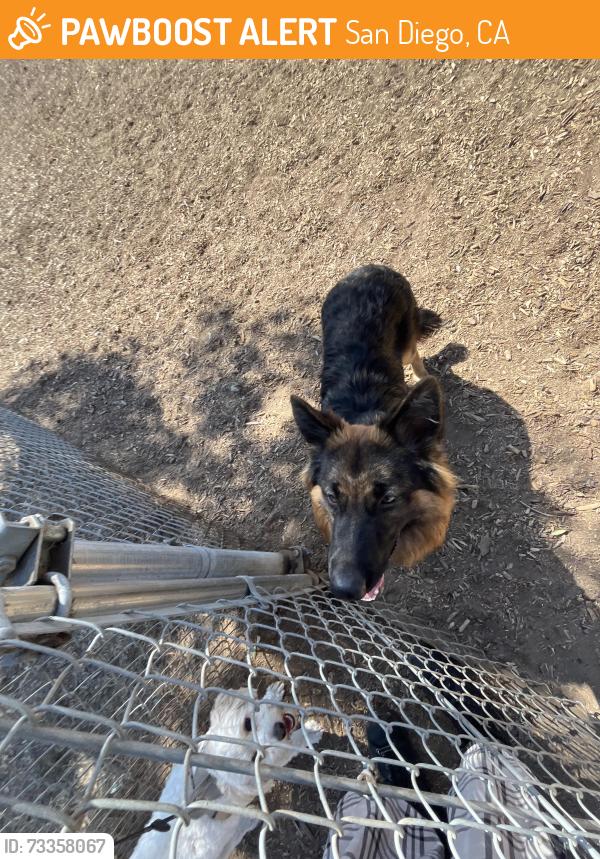 Found/Stray Unknown Dog last seen in the dog park, San Diego, CA 92104