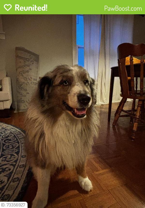 Reunited Male Dog last seen Nicollet and East Diamond Lake Road, Minneapolis, MN 55419