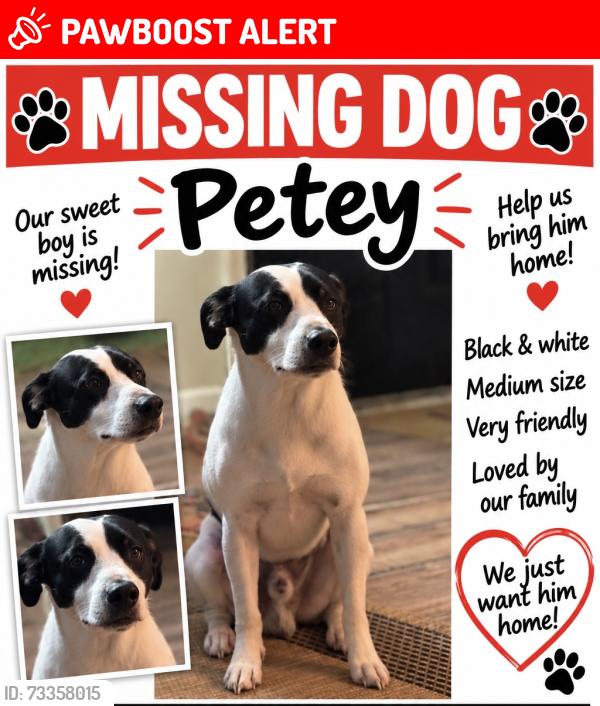 Lost Male Dog last seen Airline Road Anderson SC, Anderson County, SC 29624