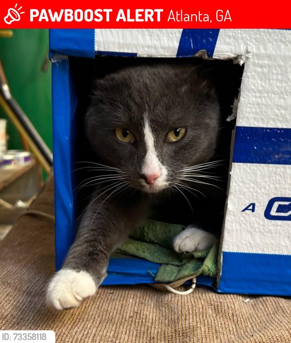 Lost Male Cat last seen PRYOR ST. SW, Atlanta, GA 30312