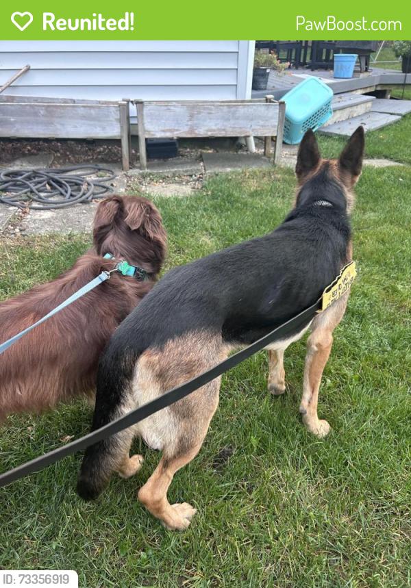 Reunited Unknown Dog last seen Indianola Ave by school for the blind, Columbus, OH 43214