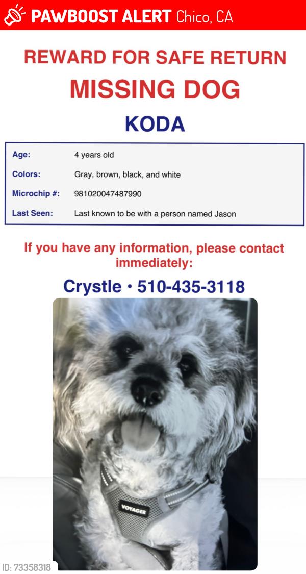 Lost Female Dog last seen Chico, Chico, CA 95928