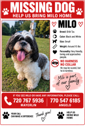 Reunited Male Dog last seen Terrell mill and power ferry rd, Marietta, GA 30067