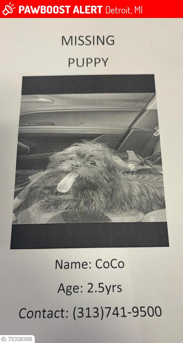Lost Female Dog last seen Starters bar and grill , Plymouth road, Detroit, MI 48228