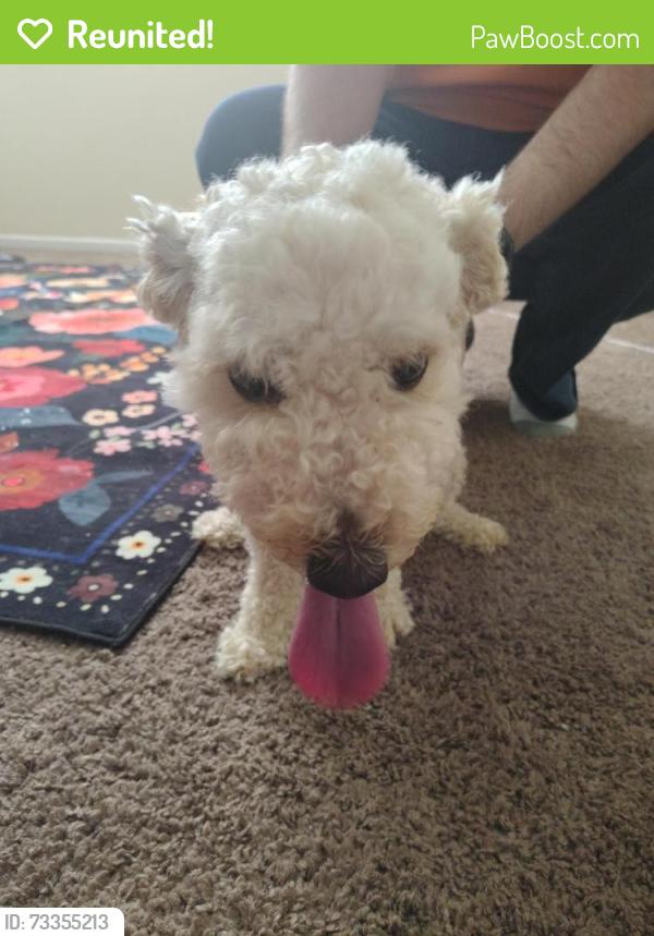 Reunited Male Dog last seen Saranac Dr and Lake Club Drive, Columbus, OH 43232