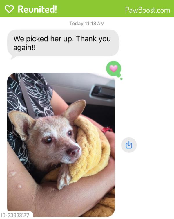 Reunited Female Dog last seen Beech Ave and Randall Ave, Fontana, CA 92335