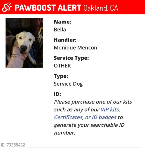 Lost Female Dog last seen International, Oakland, CA 94601