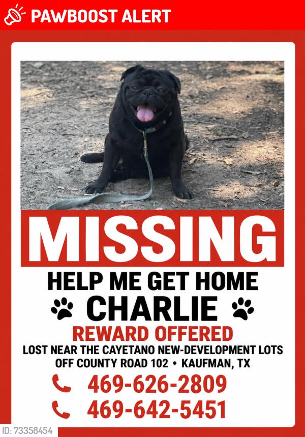 Lost Male Dog last seen County road 102, Kaufman County, TX 75142