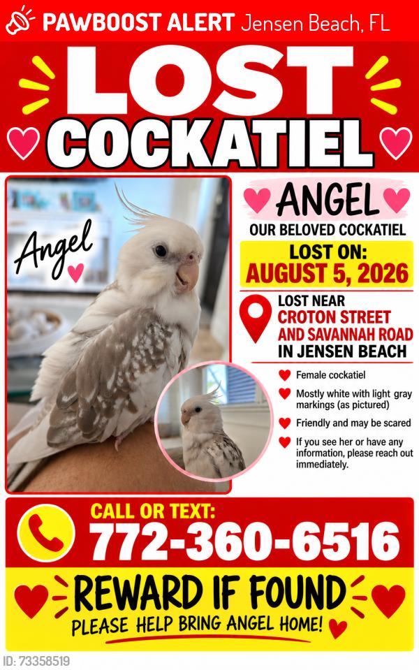 Lost Female Bird last seen Jensen Beach Elementary, Jensen Beach, FL 34957