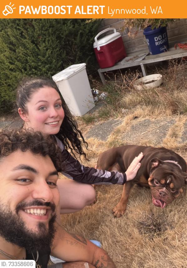 Found/Stray Male Dog last seen Lynwood 144th, Lynnwood, WA 98036
