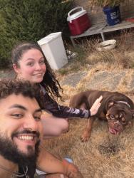 Found/Stray Male Dog last seen Lynwood 144th, Lynnwood, WA 98036