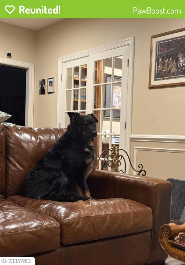 Reunited Male Dog last seen Middlesworth Farm Rd and Pleasant Grove in Long Valley, Washington Township, NJ 07853