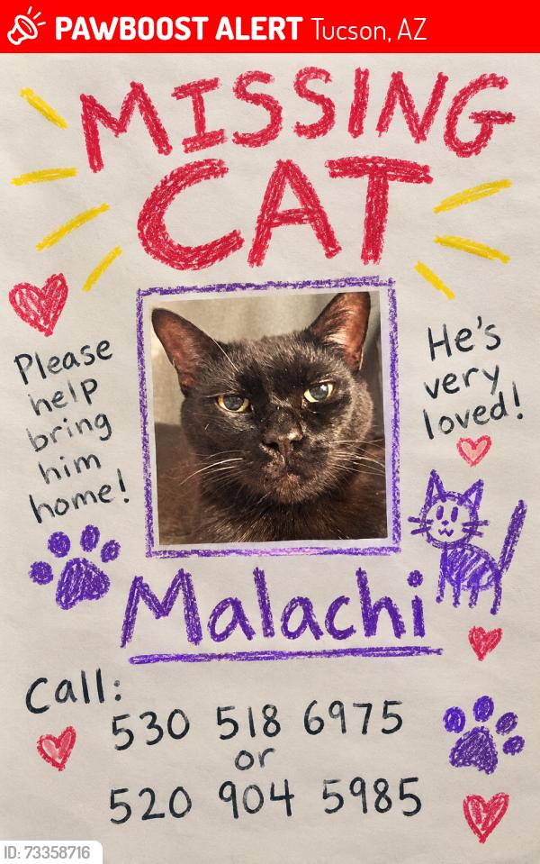 Lost Male Cat last seen Bonanza, Tucson, AZ 85748