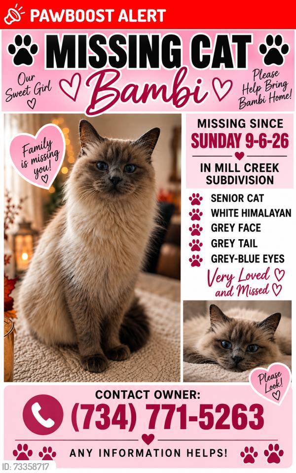 Lost Female Cat last seen Behind Hunter Elementary school, Brownstown Township, MI 48183