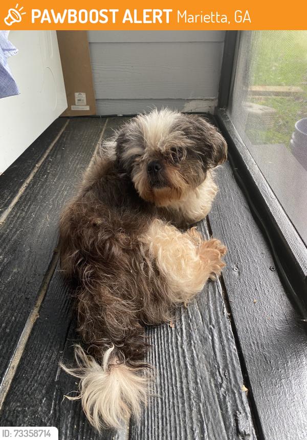 Found/Stray Male Dog last seen Windy Hill Rd., Smyrna, Marietta, GA 30008