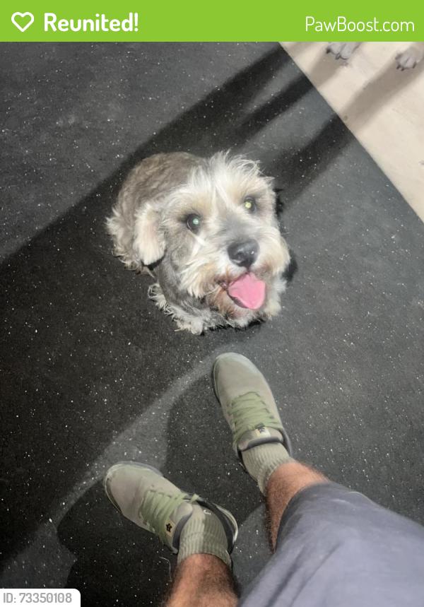 Reunited Unknown Dog last seen Farmington dr, Riverside, Riverside, CA 92504