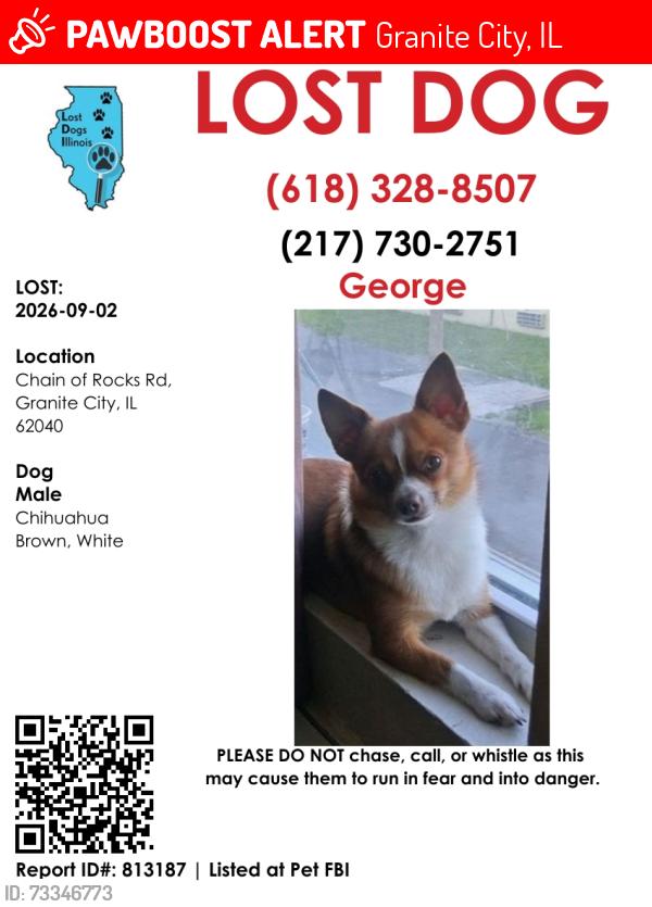 Lost Male Dog last seen Rt 3, Granite City, IL 62040