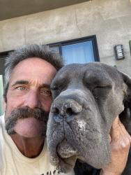Reunited Male Dog last seen Via quedo, Desert Hot Springs, CA 92240