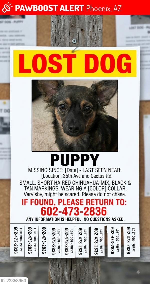 Lost Male Dog last seen 35th Ave cactus rd, Phoenix, AZ 85029