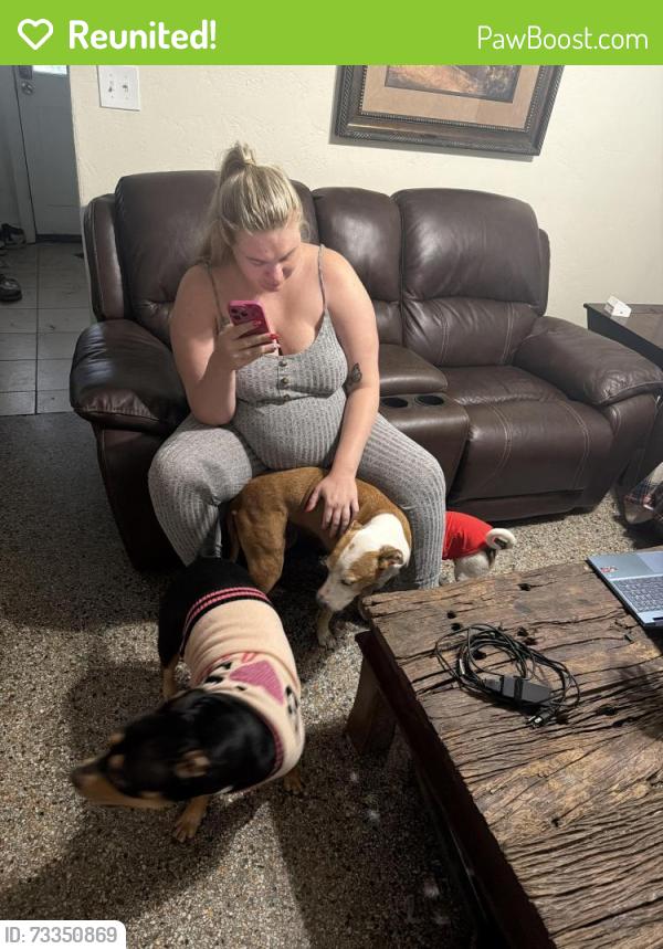 Reunited Female Dog last seen 21st and 2nd st e Bradenton, Bradenton, FL 34208