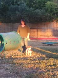 Reunited Female Dog last seen Old San Antonio Rd., Boerne, TX 78006