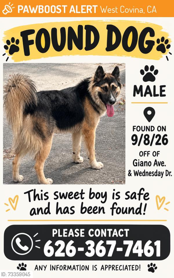 Found/Stray Male Dog last seen Giano Ave & Wednesday Dr., West Covina, CA 91790