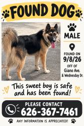 Found/Stray Male Dog last seen Giano Ave & Wednesday Dr., West Covina, CA 91790