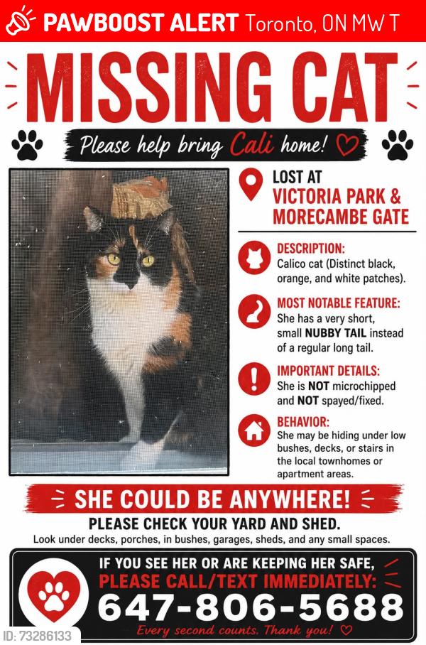 Lost Female Cat last seen Victoria park and morecambe gt, Toronto, ON M1W 2T4