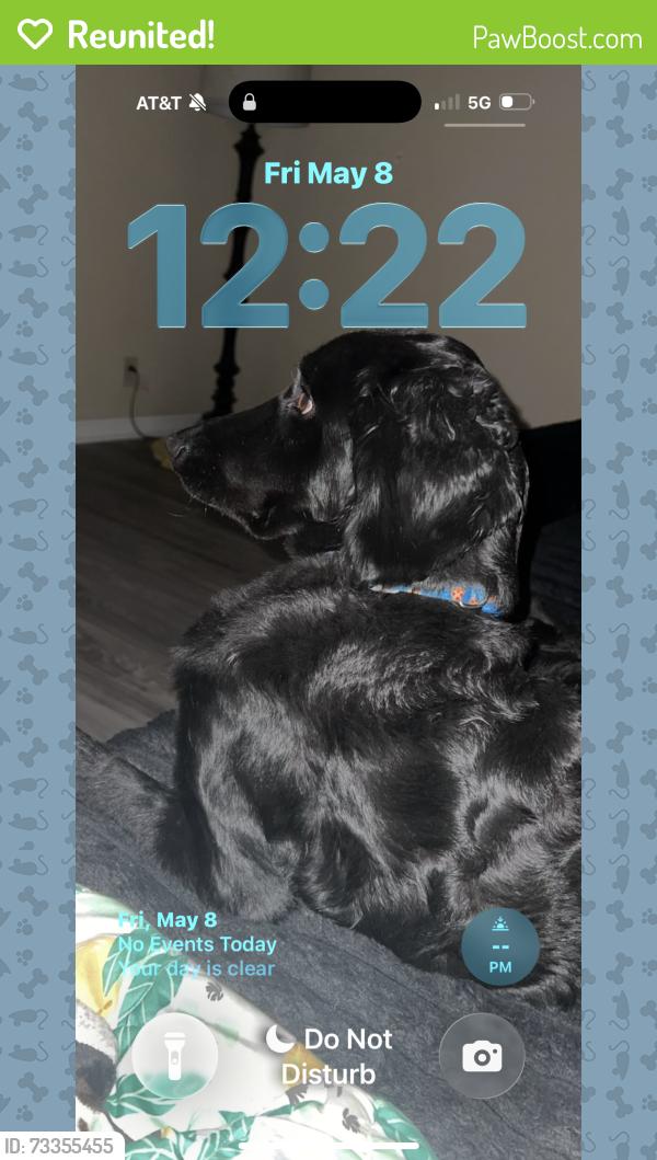 Reunited Male Dog last seen Near Callie ln pleasant view tn, Pleasant View, TN 37146