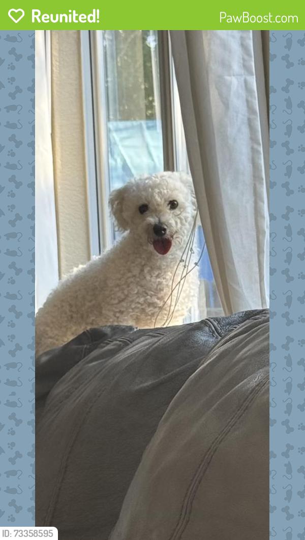 Reunited Female Dog last seen Buckley and mexico, Aurora, CO 80017