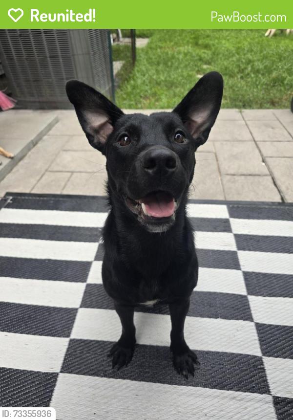 Reunited Female Dog last seen Miguez Park, Kenner, LA 70065