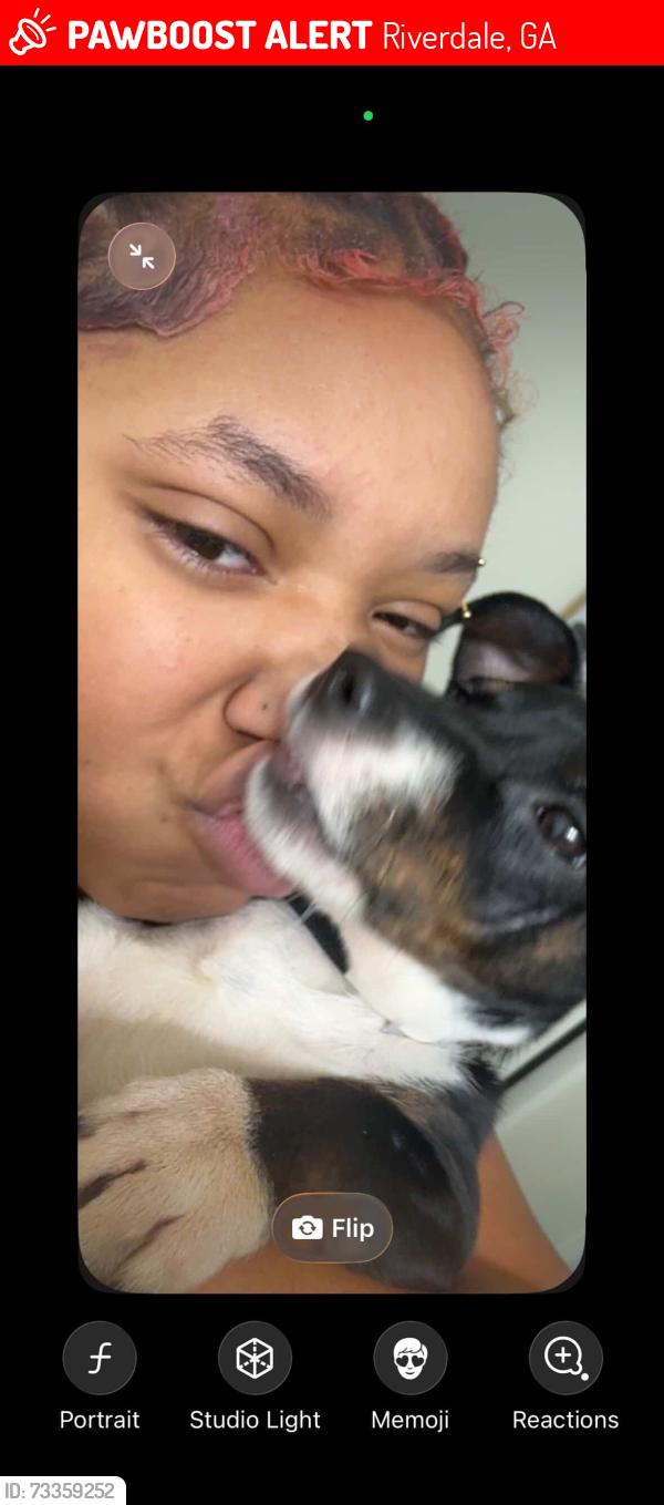 Lost Female Dog last seen King Rd, Riverdale, GA 30274