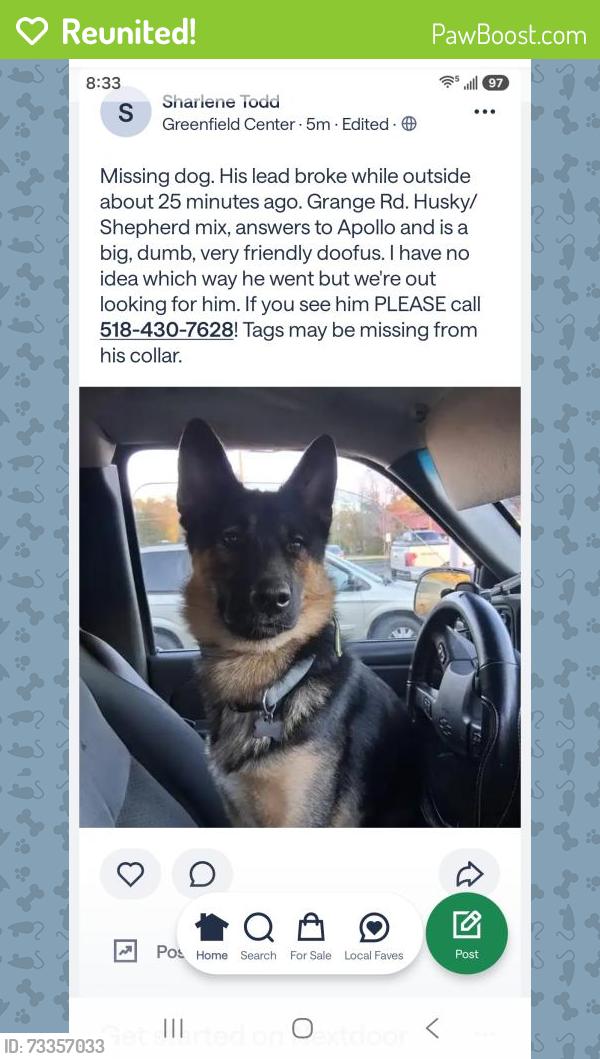 Reunited Male Dog last seen Grange Rd, Greenfield, NY 12833