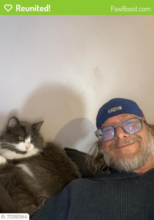 Reunited Female Cat last seen Wascana Parkway and 23rd Avenue, Regina, SK S4S 7A1