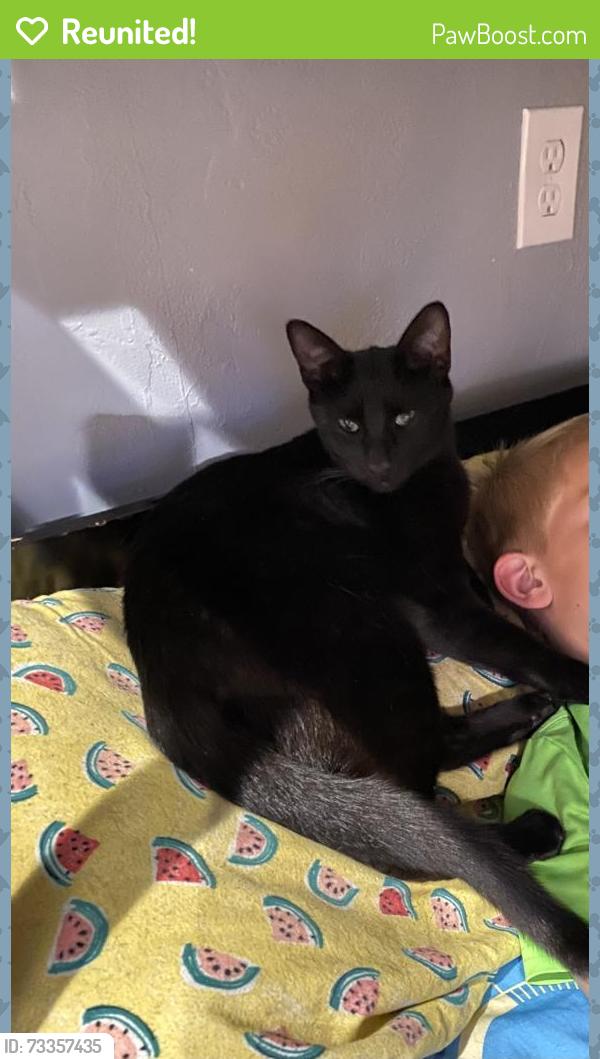 Reunited Male Cat last seen Taylor cut- off rd, Charles Robert’s rd, Sequim, WA 98382