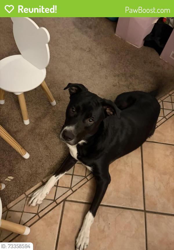Reunited Male Dog last seen Haltom Rd. and Western Center Blvd, Haltom City, TX 76137