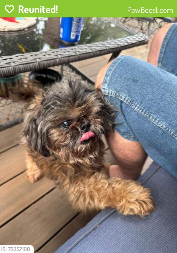 Reunited Male Dog last seen Near 232nd ln nw, Saint Francis, MN 55070