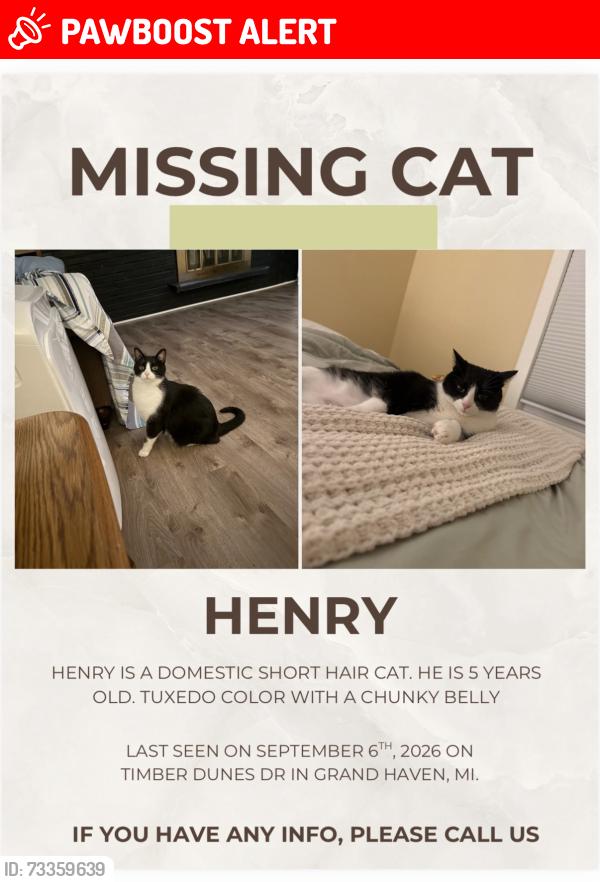 Lost Male Cat last seen Timber dunes and Lakeshore, Grand Haven Township, MI 49417