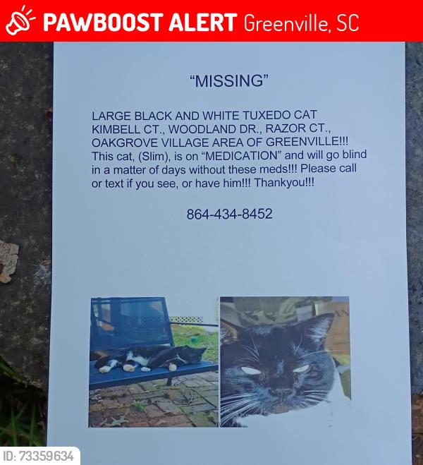 Lost Male Cat last seen Woodland drive Greenville,s.c. 29617, Greenville, SC 29617