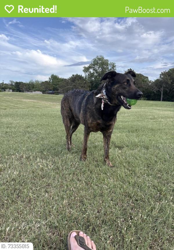 Reunited Female Dog last seen Rancho Verde, Crowley, TX 76036