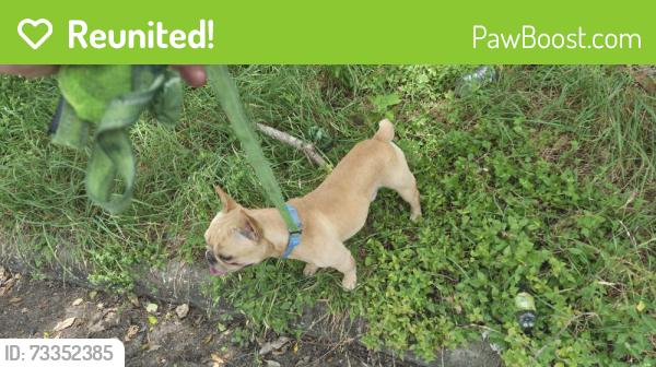 Reunited Male Dog last seen Hazelwood Street off of Porter Road, Conroe, TX 77301