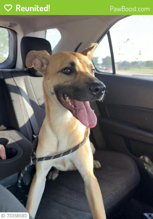 Reunited Female Dog last seen Backyard of our hse, Fort Worth, TX 76118