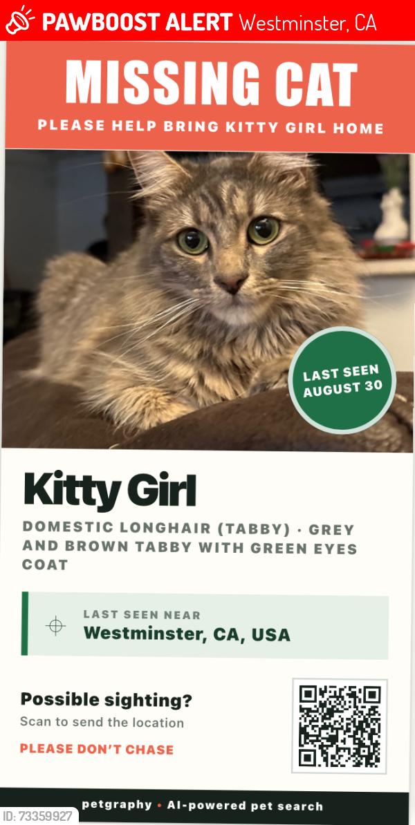 Lost Female Cat last seen Near brookhurst and Bolsa Ave, Westminster, CA 92683