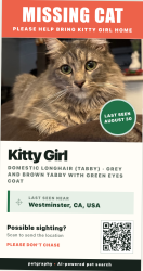 Lost Female Cat last seen Near brookhurst and Bolsa Ave, Westminster, CA 92683
