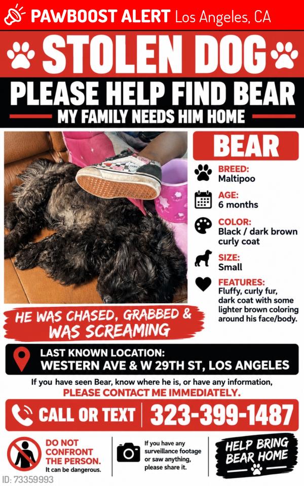 Lost Male Dog last seen Western ave and 29th st, Los Angeles, CA 90018