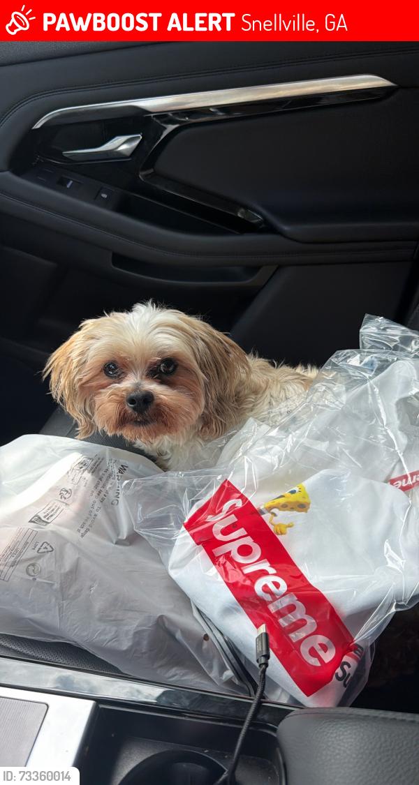 Lost Male Dog last seen In my neighborhood, Snellville, GA 30039