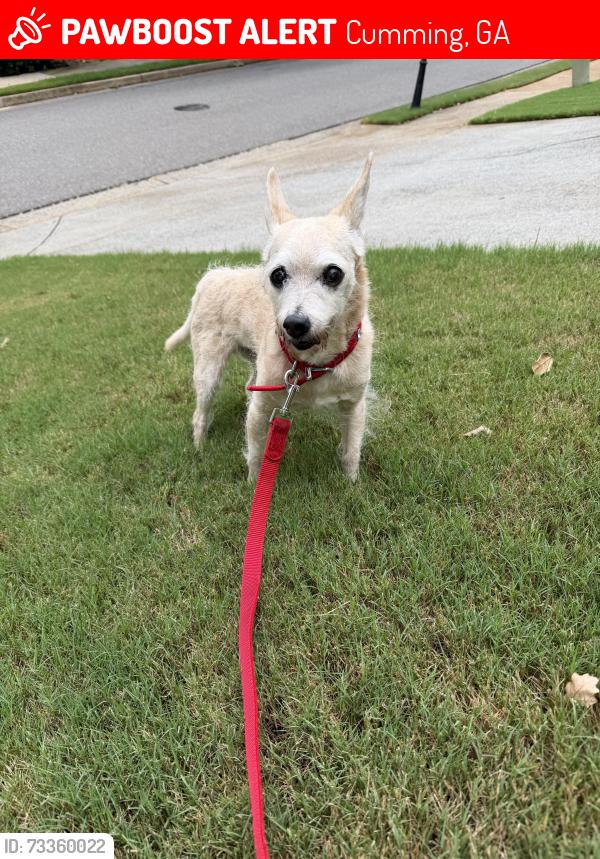 Lost Male Dog last seen Jason Drive, Cumming, GA 30040